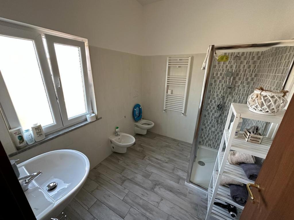 Affittacamere House *